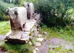 Middleton 2013 c. J.Jacobs