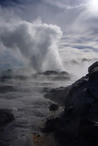 Rotorua geyser erupting, North Island
