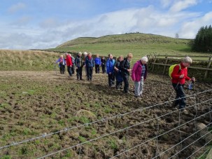 DE3EB1DF4B4B4AD18D8187C6D6C55518